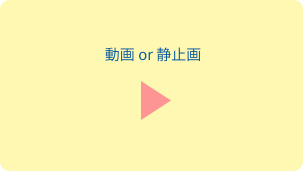 動画or静止画イメージ